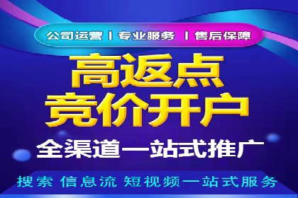 百度广告竞价之成功案例：某行业领军企业的崛起之路
